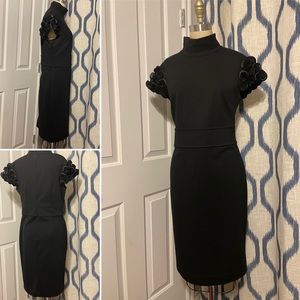 Beautiful black sheath dress with accent sleeves
